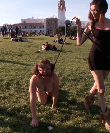 Выводя собачий стиль на новый уровень, Alexxa Bound - любимое домашнее животное каждого 2