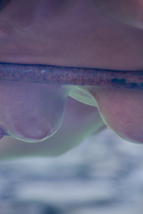 Рабыню Лондон Ривер удерживают различными способами во дворе 13