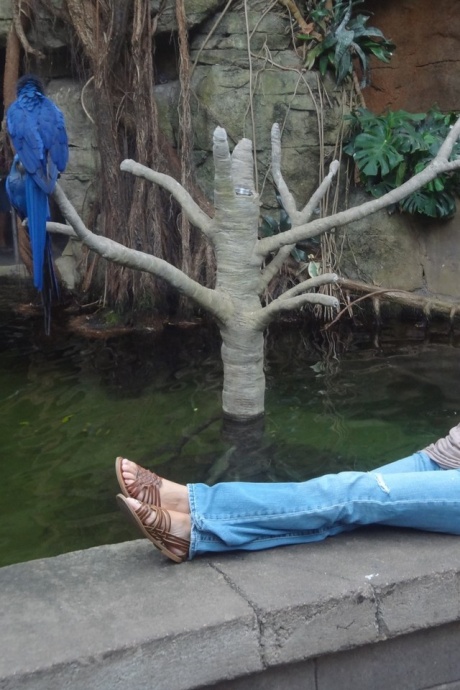 Горячую блондинку-любительницу застукали за этим занятием на различных откровенных снимках 7