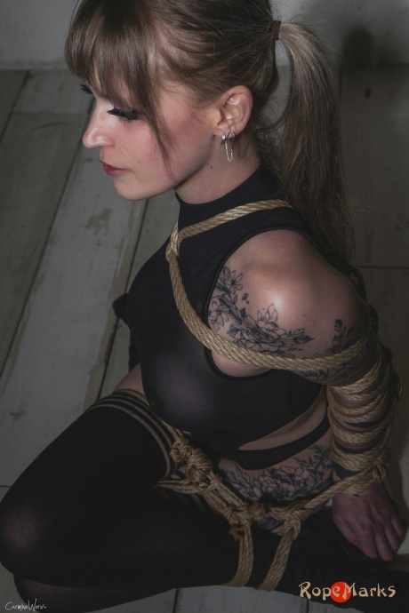 Сейза из кренделей с армбиндерблондой, Веревочный бондаж, Шибари